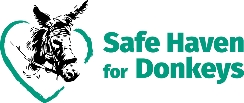 Safe Haven for Donkeys